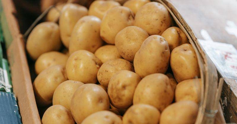 Pexels/Michael Burrows